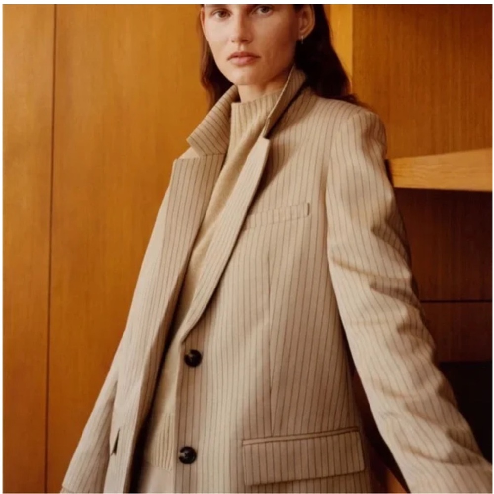 Everlane oversized cornstalk pinstripe blazer